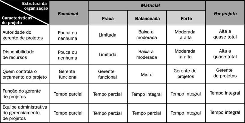 projeto significa tomar decisões e realizar ações de planejamento,