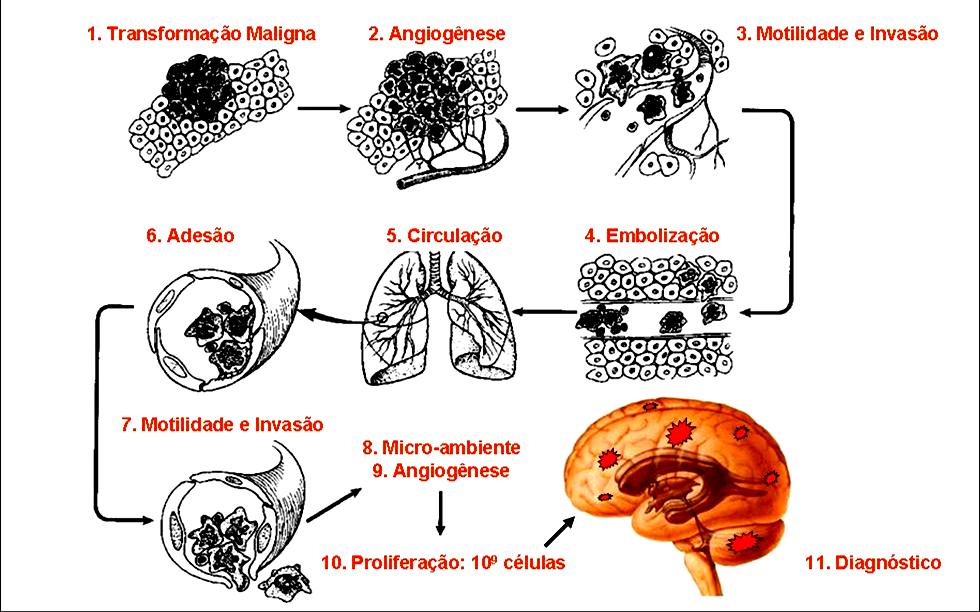 Fisiopatologia da