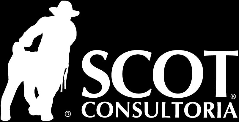 scotconsultoria@scotconsultoria.com.br twitter.