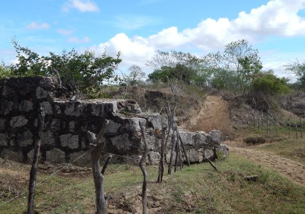 pelas correntes tributárias, seguindo várias direções do terreno, formam ângulos agudos e variados (CHRISTOFOLETTI, 1980).