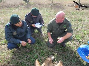 Sensibilização Execução de lei Enforcement