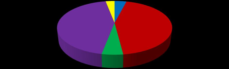 12 3% 4% 44% 5% 44% Café da Manhã Almoço Lanche da Tarde Jantar Ceia Figura 4. Distribuição percentual da quantidade média de fibras ofertadas em cada refeição dos cardápios avaliados.