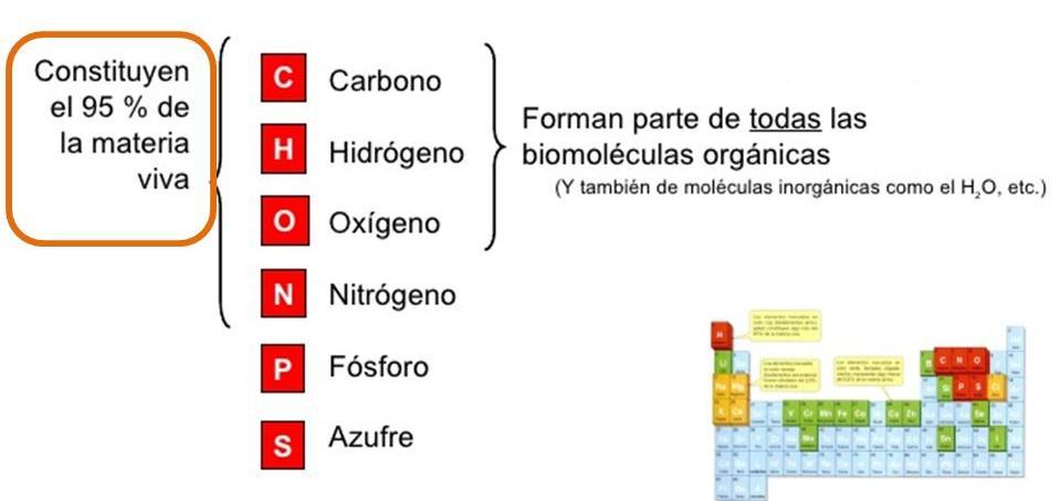 PRINCIPAIS ATRIBUTOS DOS