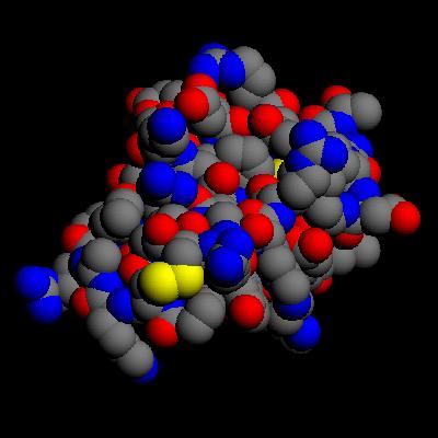 Proteínas podem ser visualizadas de diferentes formas