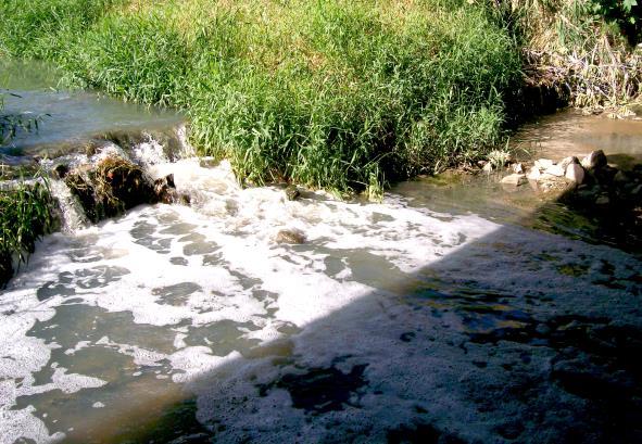 FEAM a partir de uma rede de amostragem e de dados históricos apresentou o pior nível de qualidade para o rio Betim, com valores de Índice de Qualidade de Água (IQA) na faixa ruim a muito ruim.