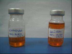 4 Ensaios de laboratório 110 Figura 4.14- Frascos selados contendo amostras da gasolina pura injetada e drenada.