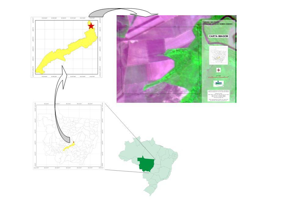 O objetivo deste trabalho foi analisar a aplicabilidade de uso de imagens de satélites, de monitores de produtividade instalados em colheitadeiras e de um SIG para espacializar dados