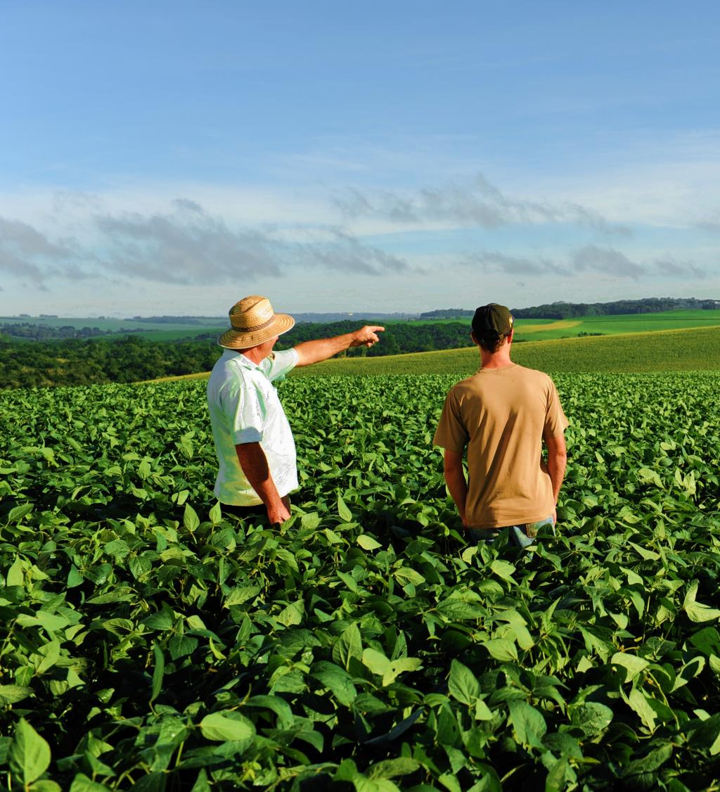 RESULTADOS DA PESQUISA DE OPINIÃO COM PARCEIROS DA NIDERA A Nidera está criando, no Brasil, o Programa Agricultura Consciente, com caráter informativo, visando a disseminação de boas práticas