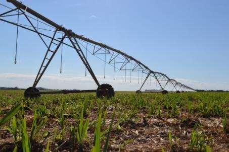 Área Irrigada 11 28% Água pivô 18.