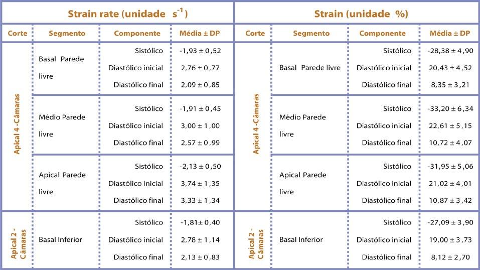 Rev bras ecocardiogr imagem cardiovasc.