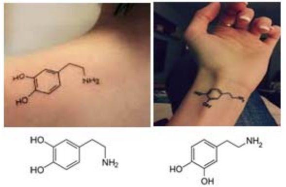 3) (UNICAMP-2016) Atualmente, parece que a Química vem seduzindo as pessoas e tem-se observado um número cada vez maior de pessoas portando tatuagens que remetem ao conhecimento químico.