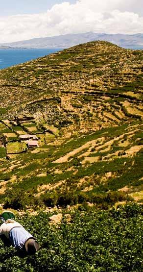 Lima, cidade dos reis. Cusco, o umbigo do mundo. O Lago Titicaca, onde surge a lenda. Três histórias, três formas de conhecer o Peru.