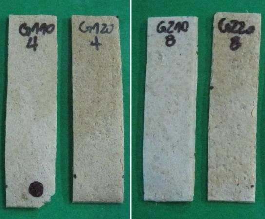 Processo de termoexpansão As espumas TPS + CS com teor de fibras de 20 % apresentaram tonalidade mais escura quando comparadas as espumas com 10 % de fibras, para ambas as