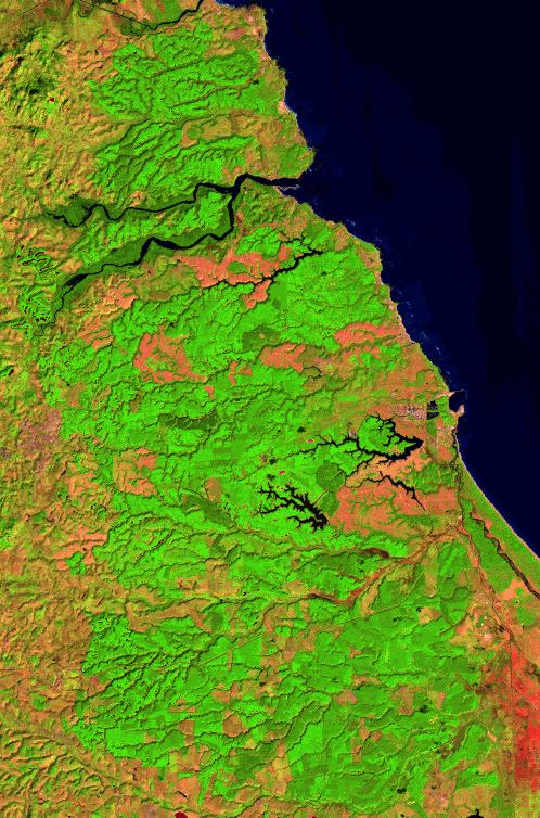 BRASIL Espírito Santo 43 0 59 30 W 43 0 43 30 W 19 0 39 00 S Município Aracruz Aracruz Celulose S.A. 19 0 59 30 S Fig. 3.1 - Localização geográfica da área de estudo. A Tabela 3.