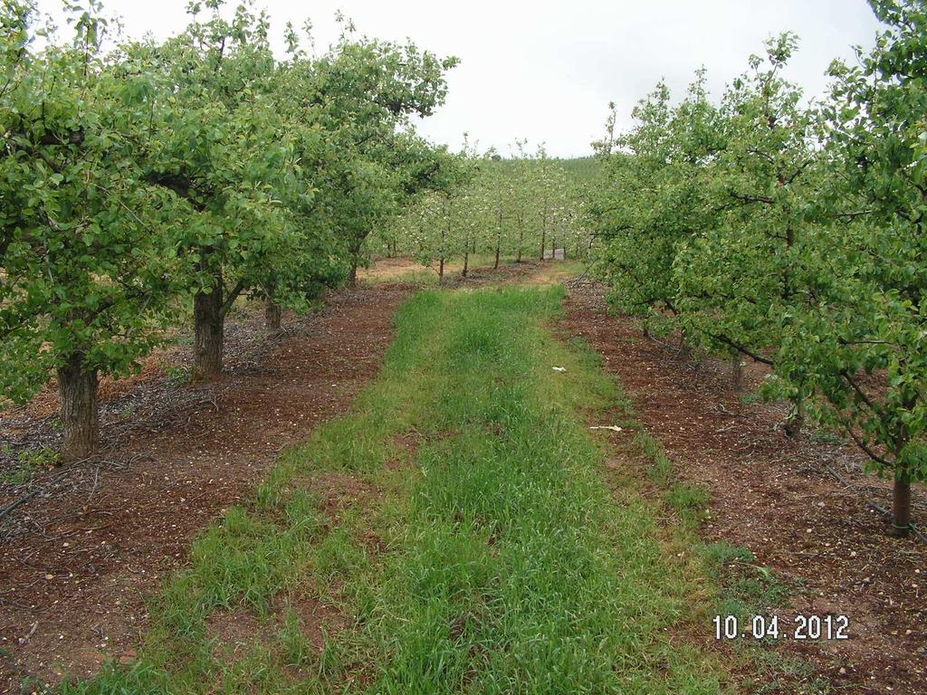 O que fazemos na agricultura portuguesa?