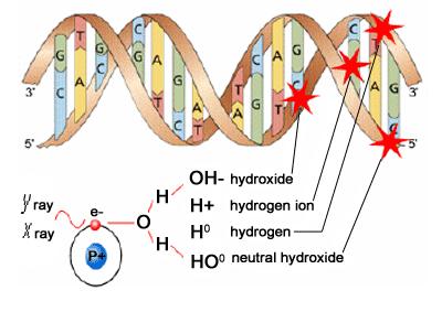 hidrogénio; de base DIRECTOS Mais provável para radiação