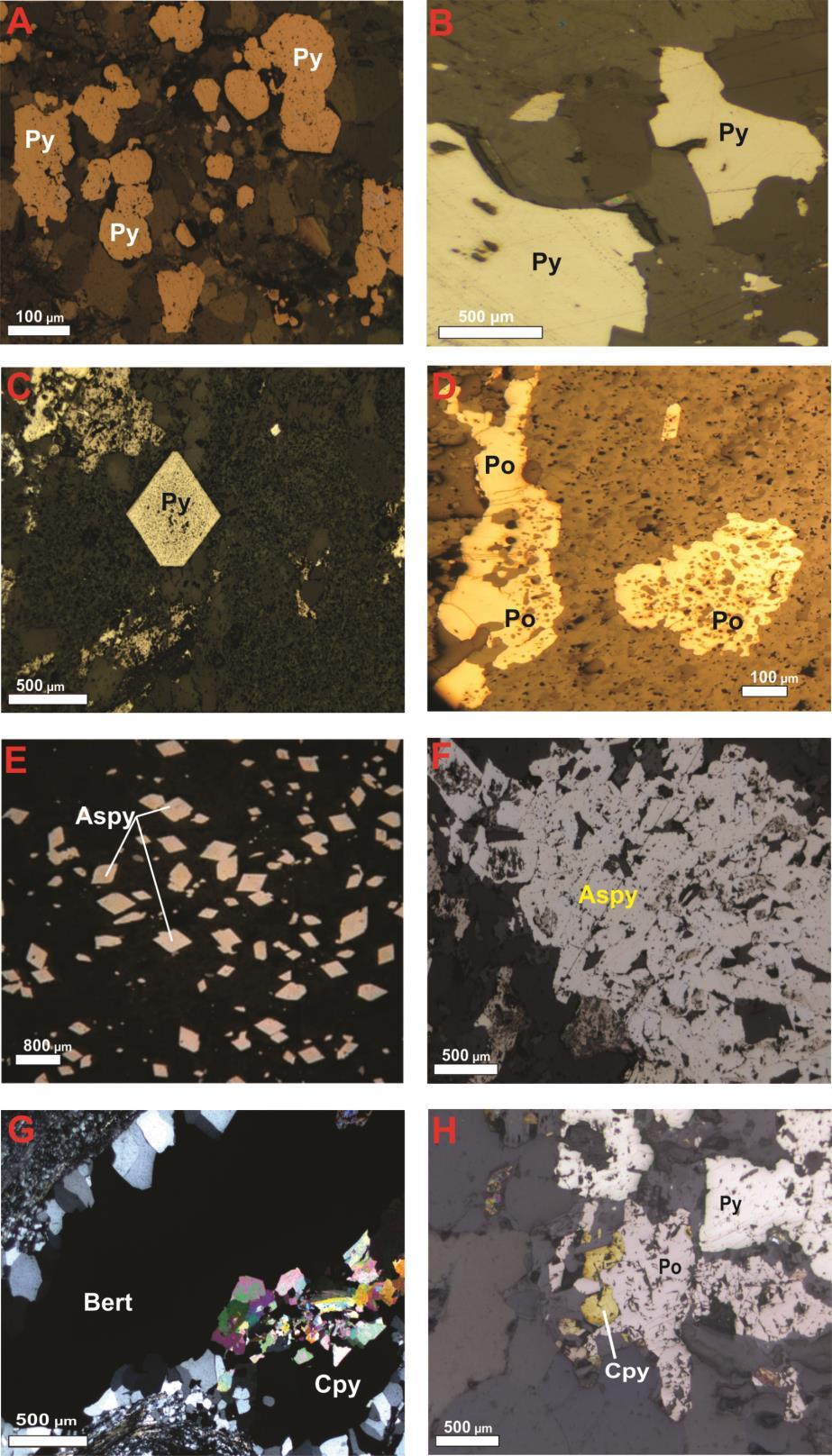 Figura 2.11 Generations of sulfide minerals associated with the Cachorro Bravo gold deposit, Córrego do Sítio auriferous lineament. (A) Primary rounded pyrite (Py) reflected light.