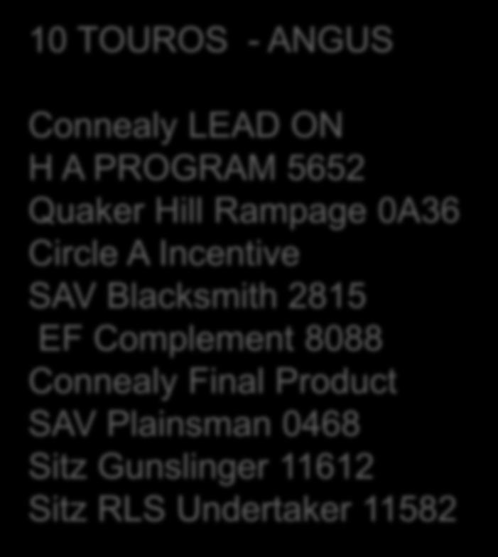 4G - IATF- 20 touros 10 TOUROS - ANGUS Connealy LEAD ON H A PROGRAM 5652 Quaker Hill Rampage 0A36 Circle A Incentive SAV Blacksmith