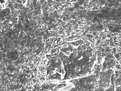 As micrografias indicam, conforme esperado, que a superfície da borracha SBR proveniente de falha adesiva (b), assemelhou-se muito à superfície de tal borracha, sem tratamento superficial, antes de