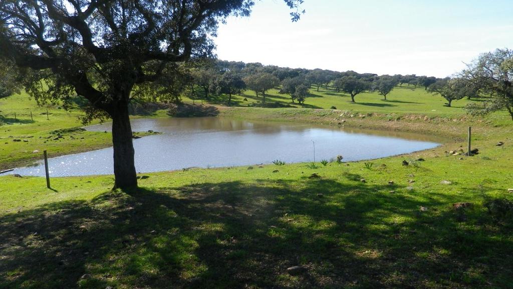 Na área de estudo verifica-se a presença de um número considerável de poços, algumas charcas e pequenas albufeiras que, pela sua proximidade às habitações, apresentam um uso agrícola (rega e