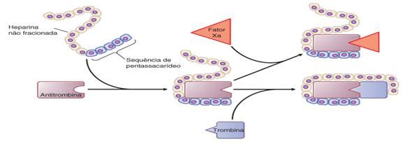 54 laboratorial, pois pode causar trombocitopenia fazendo-se necessário o monitoramento das plaquetas (SANTOS et al., 2013).