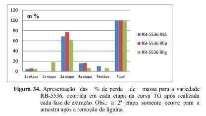 RESULTADOS E