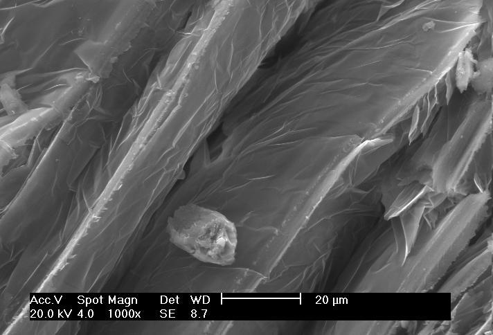 Absorbância A micrografia da amostra de vermiculita é apresentada na figura 3.