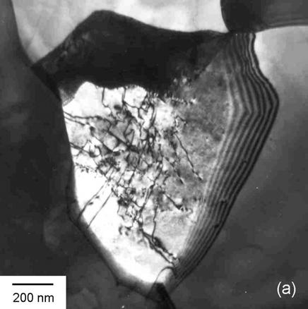 Figura 4: Micrografias mostrando discordâncias em grãos de ferrita dos aços V1 (a) e V2 (b). As densidades de discordâncias estimadas em (a) e (b) foram 3 e 7 10 13 m -2, respectivamente.