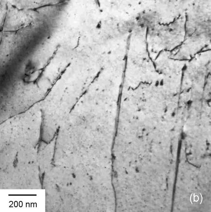 1 Influência do Processamento Termomecânico Industrial Sobre a Precipitação de Carbonitretos A presença de carbonitretos eutéticos grosseiros foi facilmente notada no aço V1 por microscopia ótica.