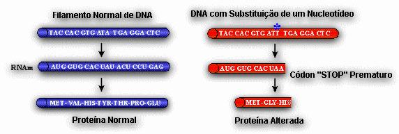 MUTAÇÃO SILENCIOSA Códon que especifica um