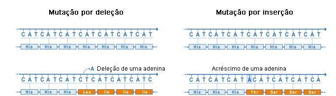 MUTAÇÕES GÊNICAS