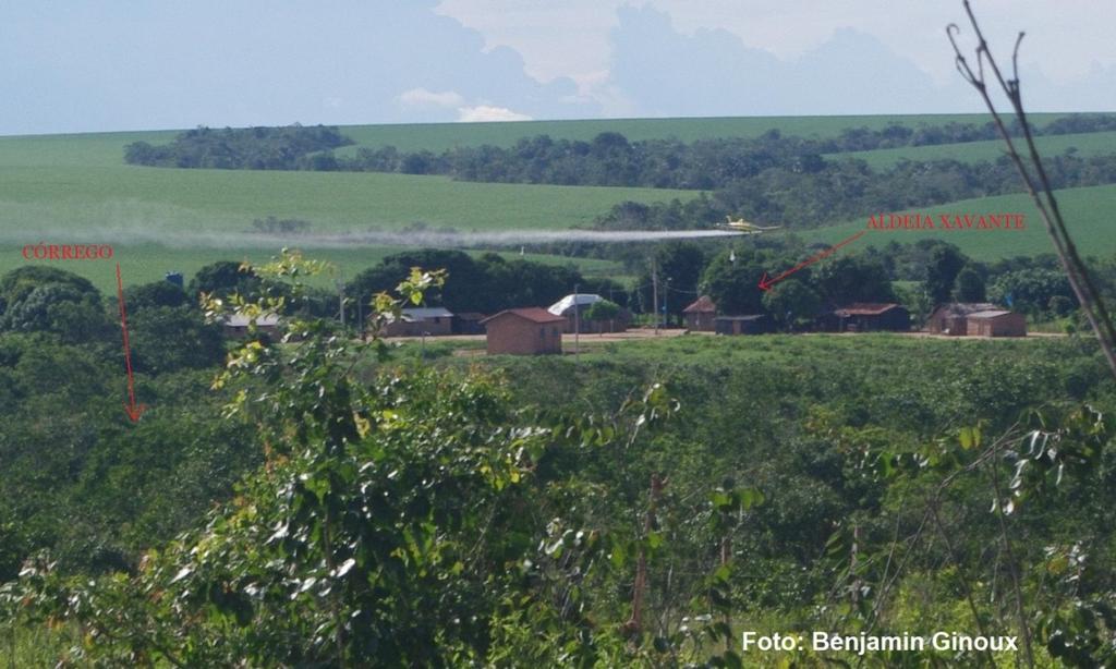 Em dezembro de 2012, a equipe de professores do Núcleo de Estudos Ambientais e de Saúde do Trabalhador da UFMT (NEAST/UFMT) do campus de Cuiabá, recebeu um conjunto de fotos do fotógrafo belga André