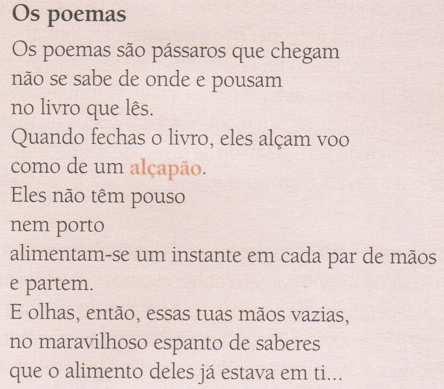 3 8) Quais os aspectos visuais (linguagem não verbal) chamam a atenção na capa da revista?