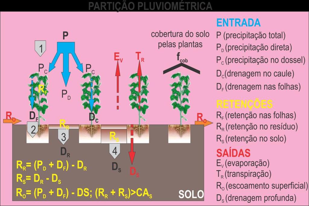 A coleta de dados iniciou-se após a soja atingir a altura mínima de 8 cm, quando a planta atingiu a altura do pluviômetro 2 (p2).