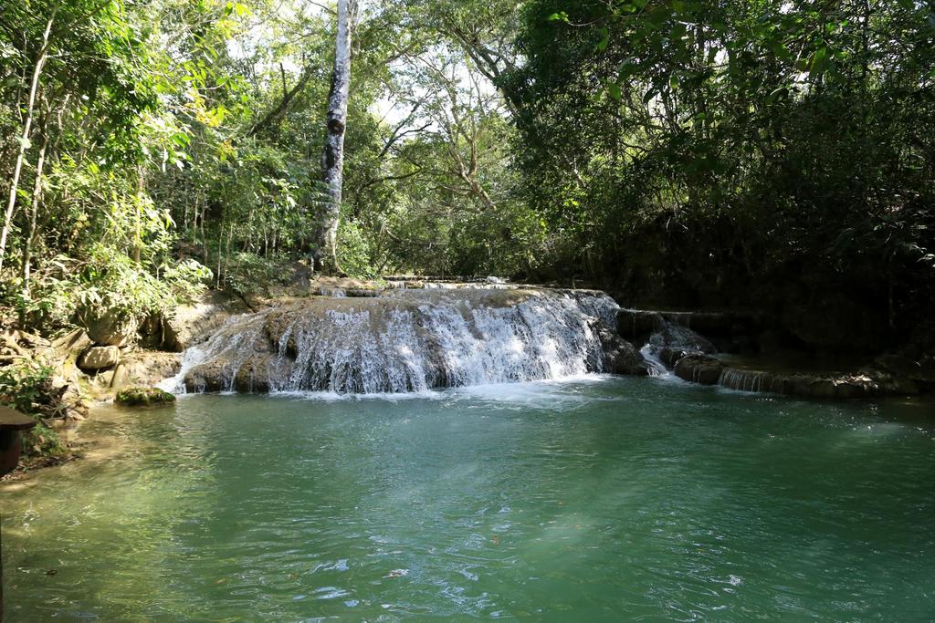 Causas Água Limpa A qualidade da água sofre interferências diversas decorrentes dos modos de utilização do solo, conservação ou degradação da floresta e dos diferentes usos da água.