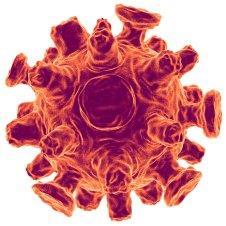 2) Características Gerais Os vírus são organismos vivos? A vida pode ser definida como um complexo de processos resultantes da ação de proteínas codificadas por ácidos nucléicos.