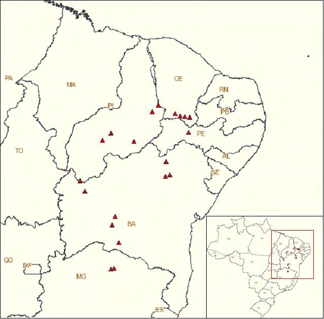 Figura 2 Localização das áreas de coleta em exemplares do gênero Jatropha em municípios do norte de Minas Gerais e nordeste brasileiro. Tabela 1. Localização das coletas em J. curcas, J.