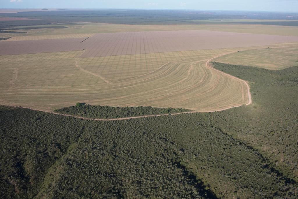 A expansão do agronegócio traz grandes lucros para