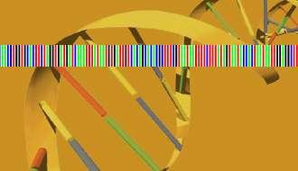 ?? DNA Barcode