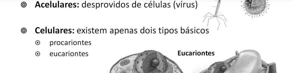 Existem células estruturalmente mais simples, presentes nas bactérias e cianobactérias, que são formadas por