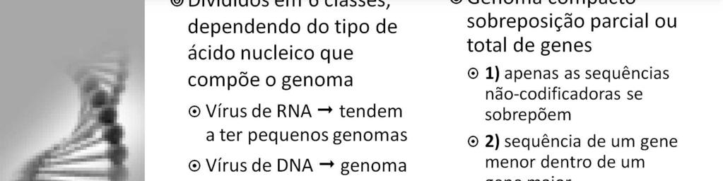 Os vírus mais simples contêm DNA ou RNA suficientes para codificar 4 proteínas, todas essenciais.