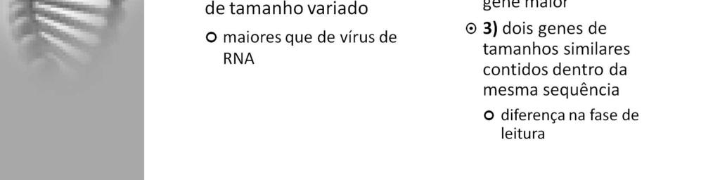 No entanto, em linhas gerais, os vírus de RNA tendem a ter pequenos genomas enquanto os vírus de DNA apresentam grande variedade de tamanhos, tendendo a ser bem maiores.