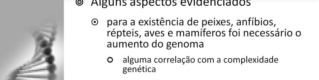 Os genomas dos mamíferos são em geral os maiores entre os