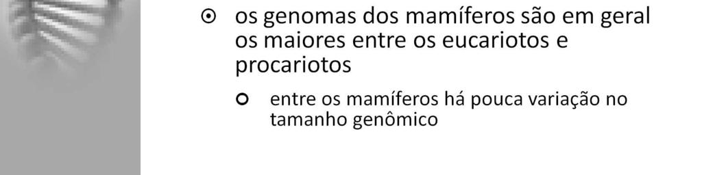 mamíferos há pouca variação no tamanho genômico e nem