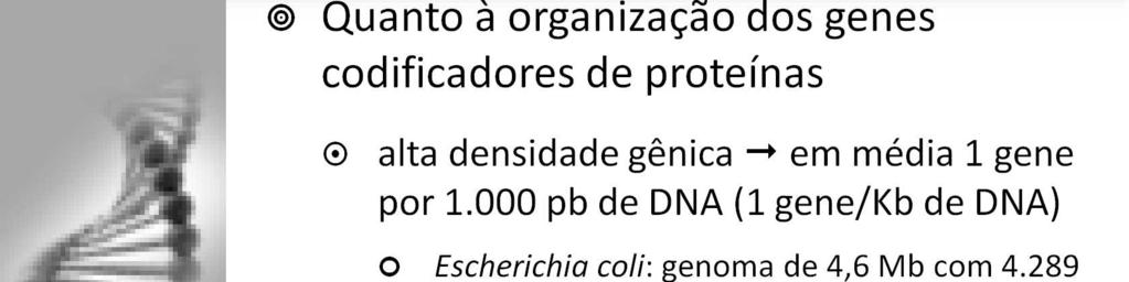Quanto à organização dos genes codificadores de proteínas, em procariotos existe uma alta densidade gênica, em torno de um gene por 1.