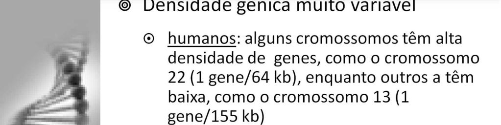 Nos eucariotos, a organização gênica apresenta novidades, em relação à encontrada no grupo dos procariotos.