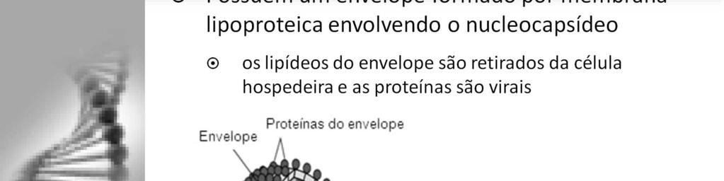 Após tratamento com detergentes ou