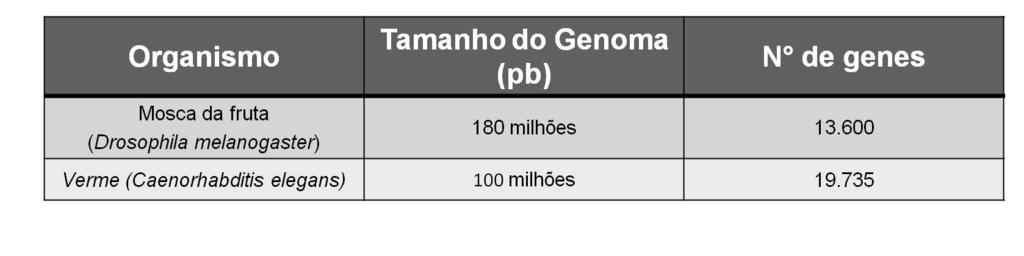 Redundância gênica - Duplicações gênicas ou de cromossomos inteiros, ou ainda de todo o genoma, são eventos comuns na evolução; no genoma de C.