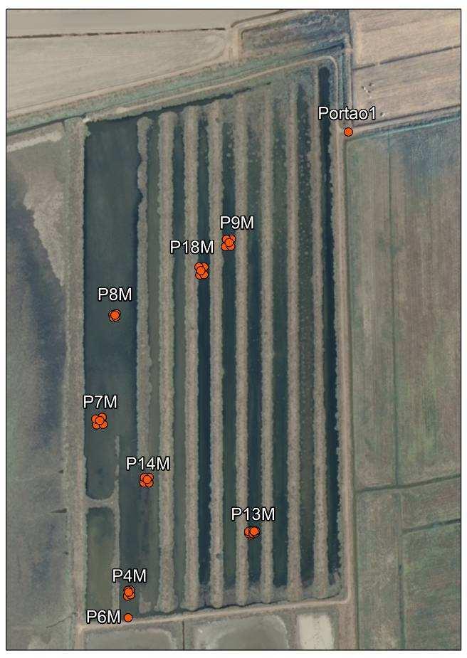 Fig.2 Pontos levantados na salina de Vale de Frades (área correspondente ao viveiro). 6.