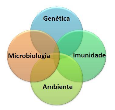 identificados como suscetíveis de aumentar o risco de DII, estando a maioria deles envolvidos na resposta do hospedeiro aos microrganismos (9).